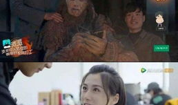 男女插下面视频,探索男女互动的多元魅力