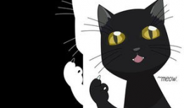 猫动漫,猫界动漫的奇幻冒险之旅